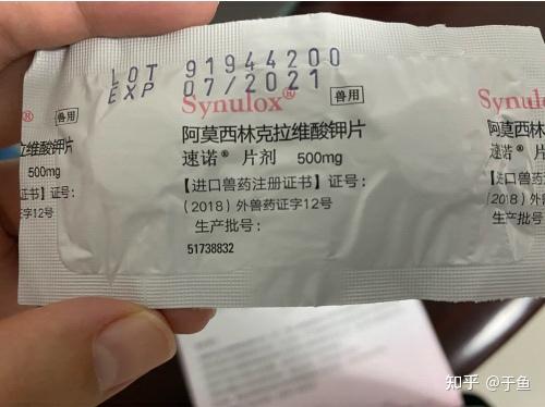 猫用赖氨酸真的是智商税吗