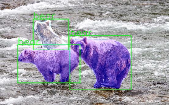 在Pytorch中使用Mask R-CNN进行实例分割操作 在Pytorch中使用Mask R-CNN进行实例分割操作