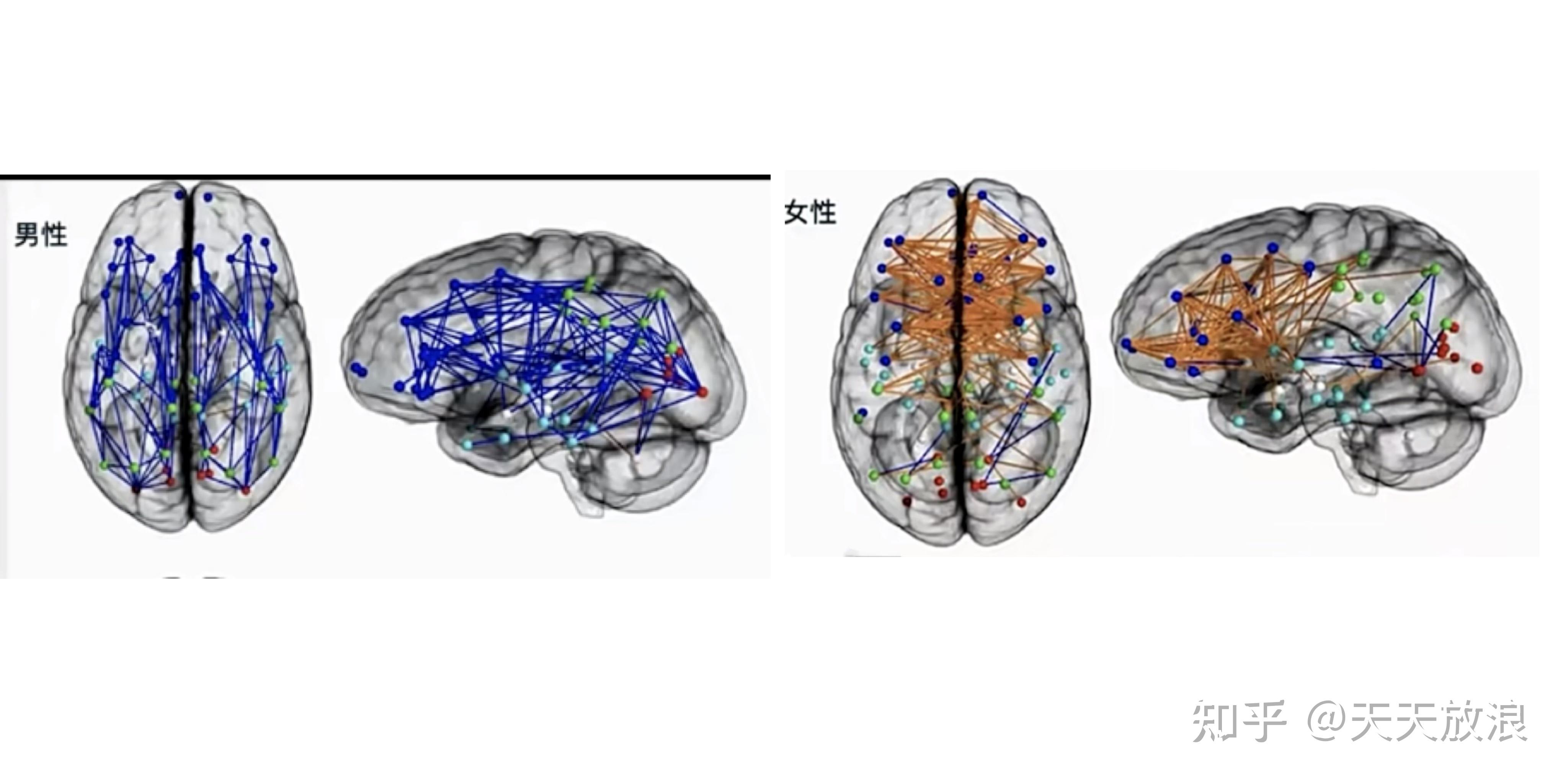 男女脑回路不一样图片图片