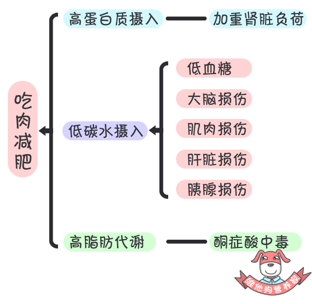 什么是阿特金斯减肥法阿特金斯减肥法对人体有哪些危害