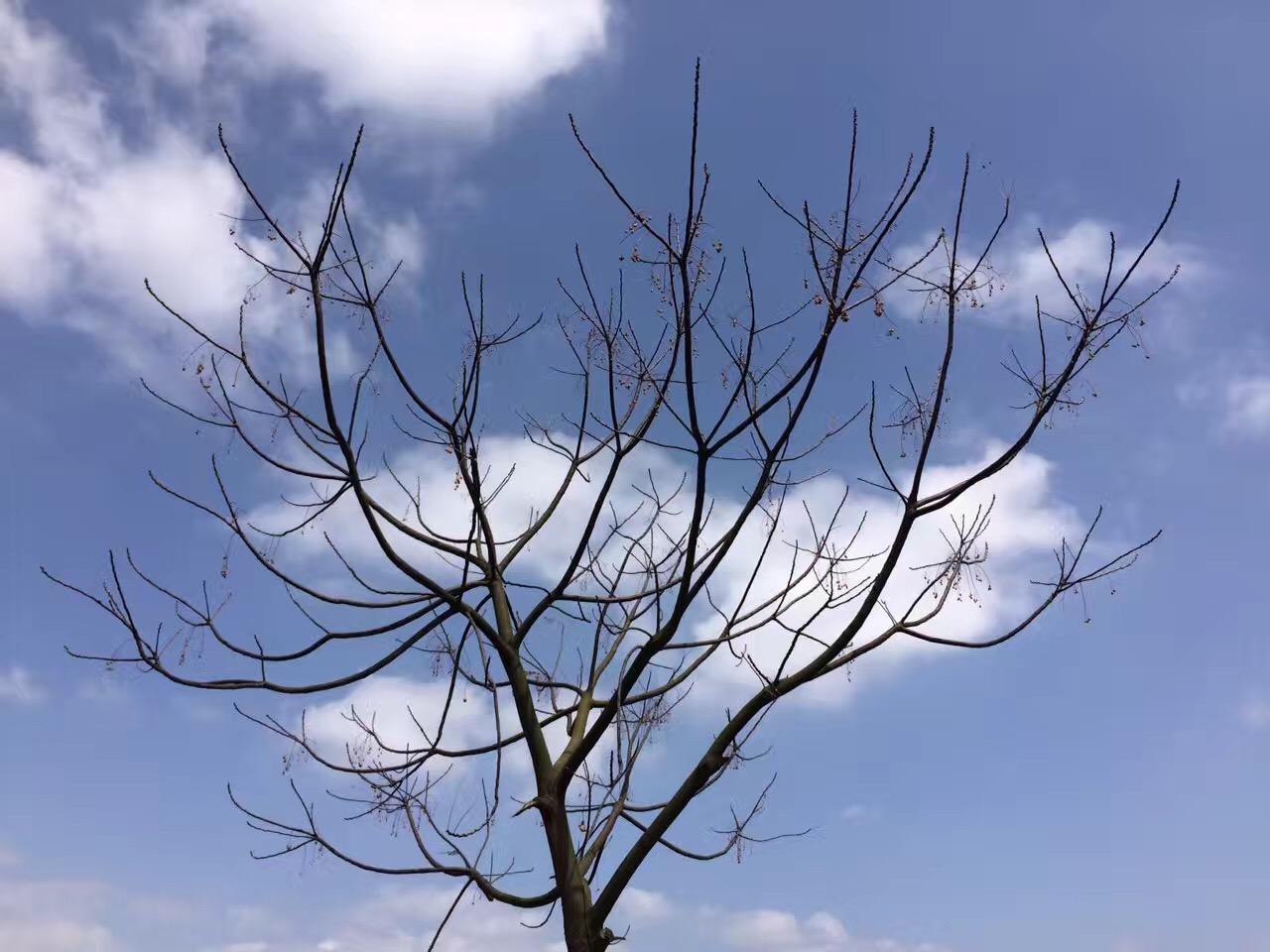 惊艳的照片是什么意思 v2-796ae9d4f77a1eb5d3bc58cb8b2d9384_r.jpg