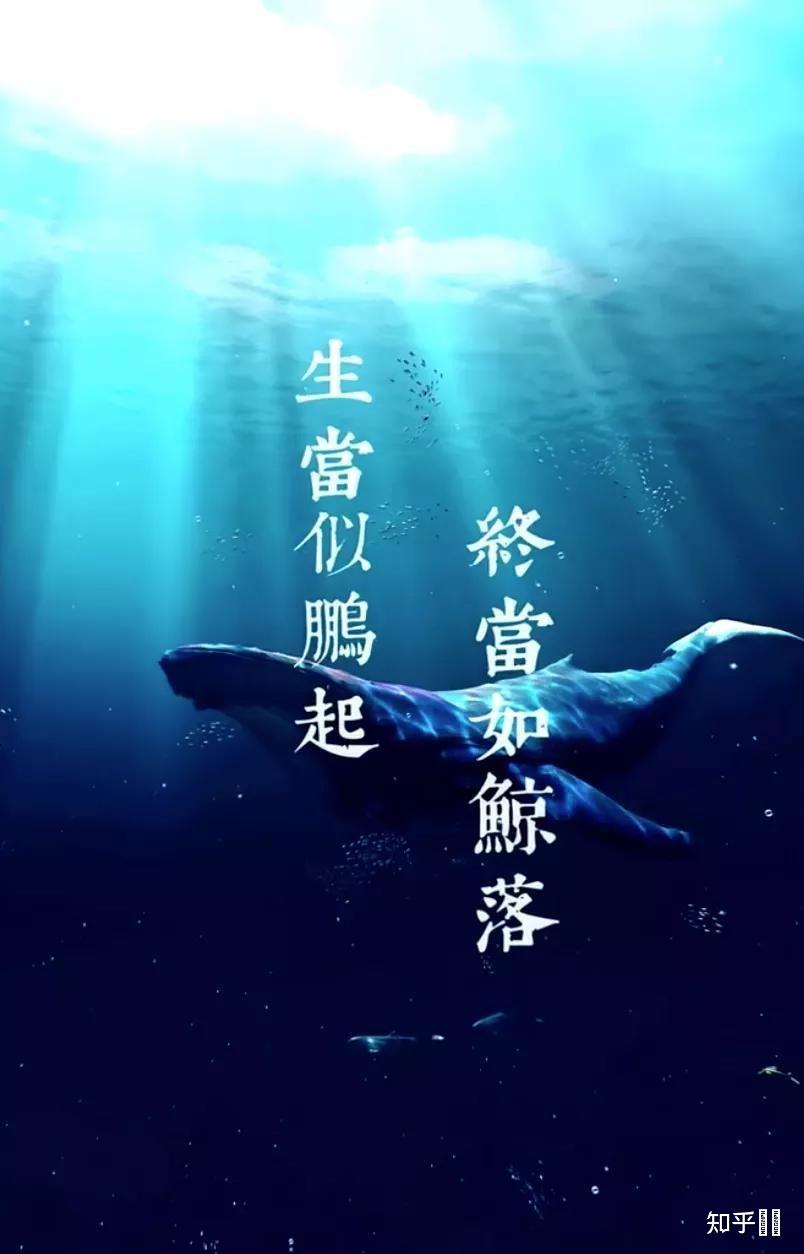 一个真正心中有火眼里有光的人是什么样子的