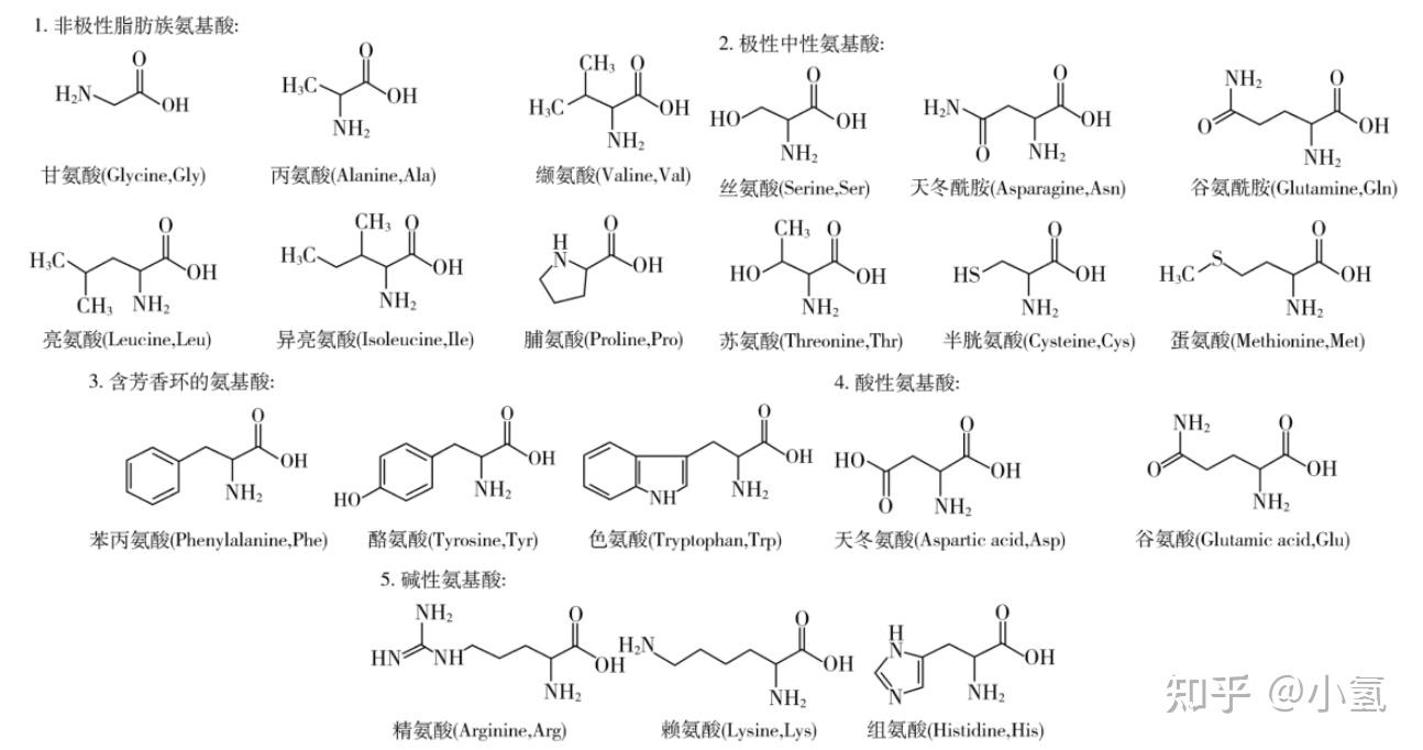 [TOPIC7]营养学入门——蛋白质、脂质、碳水化合物 - 知乎