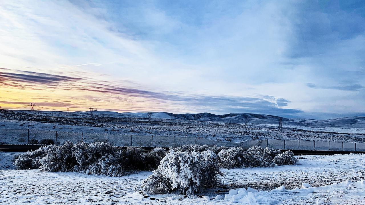 3. 温度设定29度