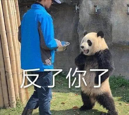 GPT-4变笨加剧，被曝缓存历史回复：一个笑话讲八百遍，让换新的也不听 - 知乎
