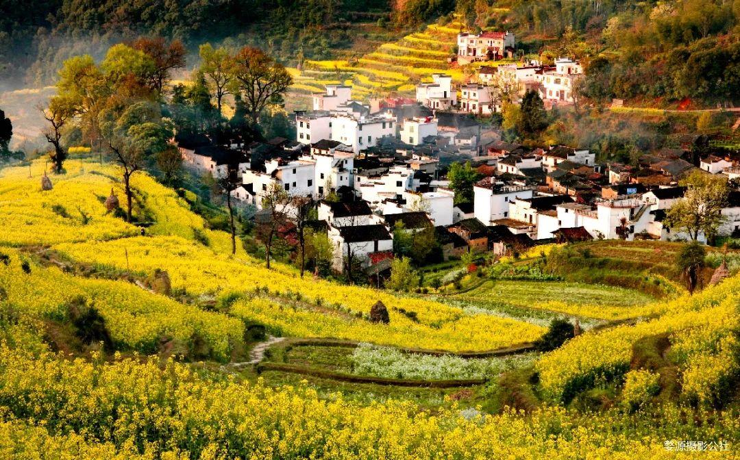 婺源篁岭石城歙县新安江山水画廊芜湖家朋响水涧油菜花摄影团