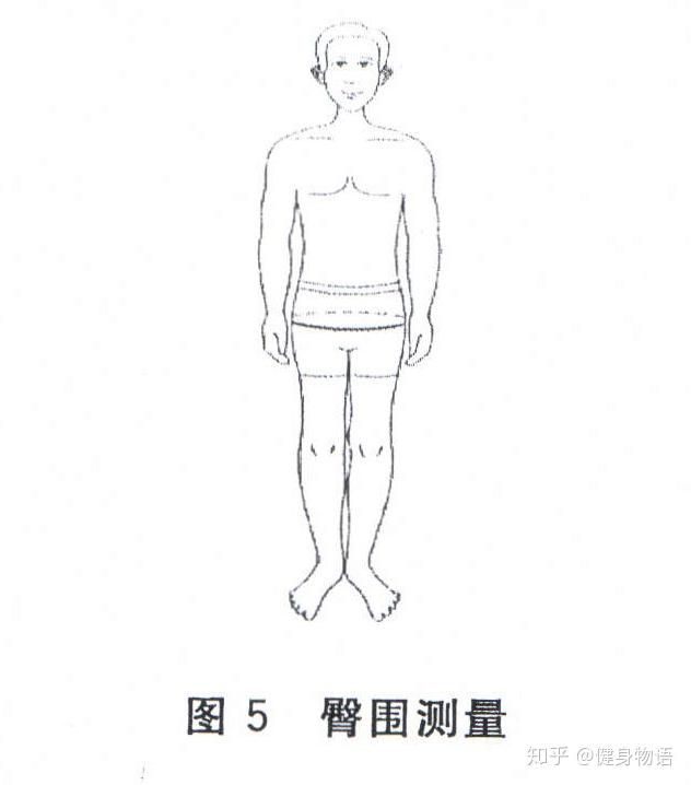 怎样测量腿围,胸围,腰围,臀围啊?