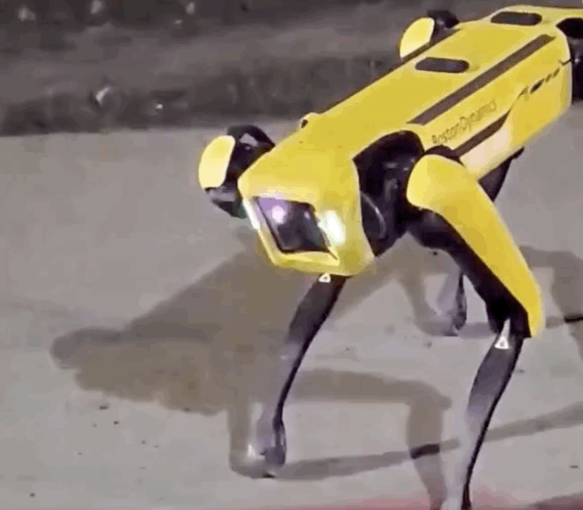 波士顿动力机器狗半夜遛弯儿惊呆路人还配合拍照网友想到了黑镜