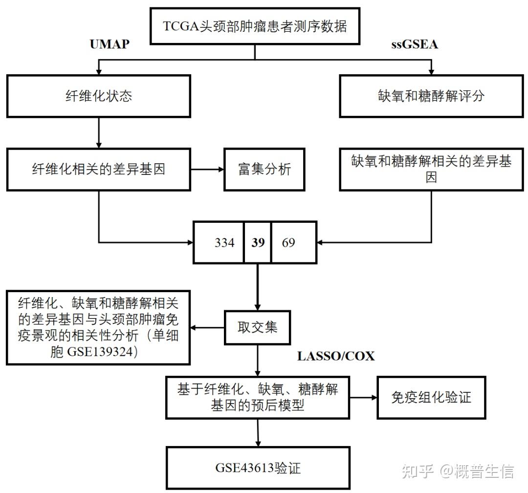生信分析研究路线的构建：多表型（热点联合） - 知乎