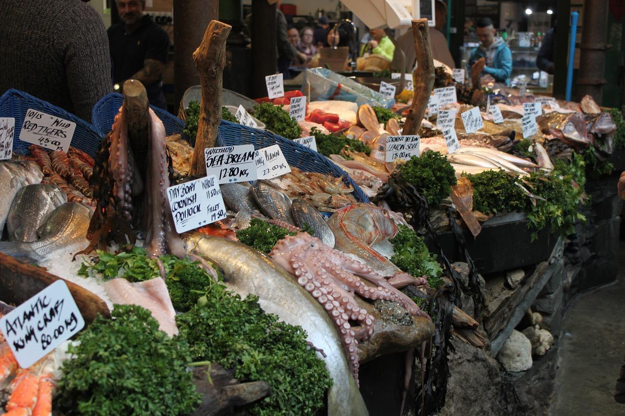 3. 水族箱养鱼技巧