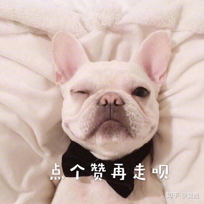 怎样才算是一个真正成熟的人 v2-79a7896cf7ed89589ceb0a2ed91c02c8_r.jpg