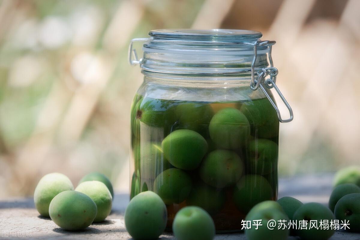 如何腌酸梅子 v2-79ac39bb1fafb899cce34e08344fc0fc_r.jpg