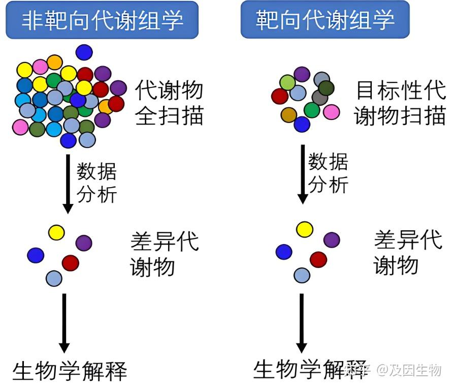 代谢组学专题丨一文带您了解最全代谢组学研究思路! - 知乎