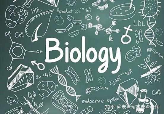 每日分享:什么是biology(生物学)专业?