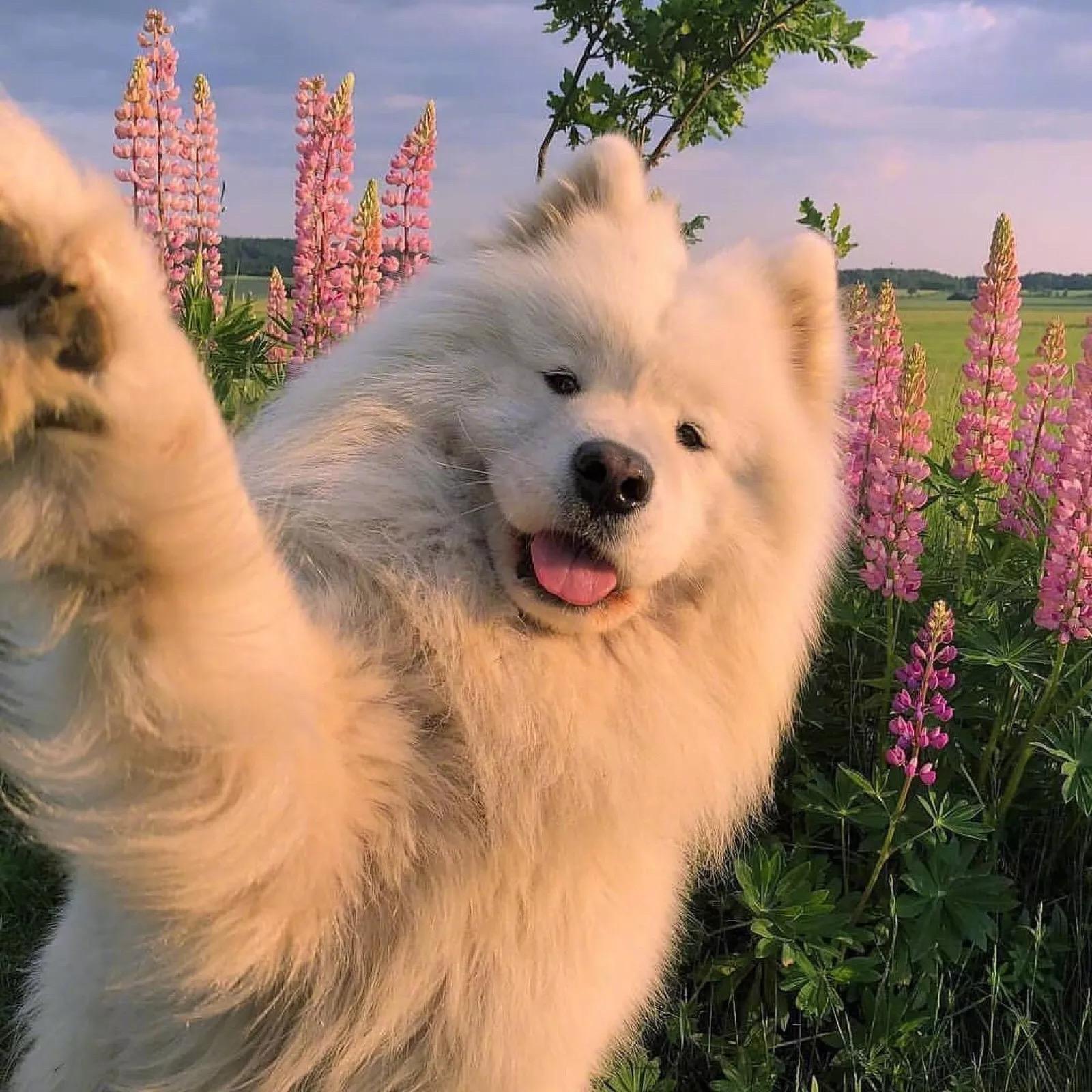 有没有什么惊艳的微信头像?-特别惊艳到人的微信头像