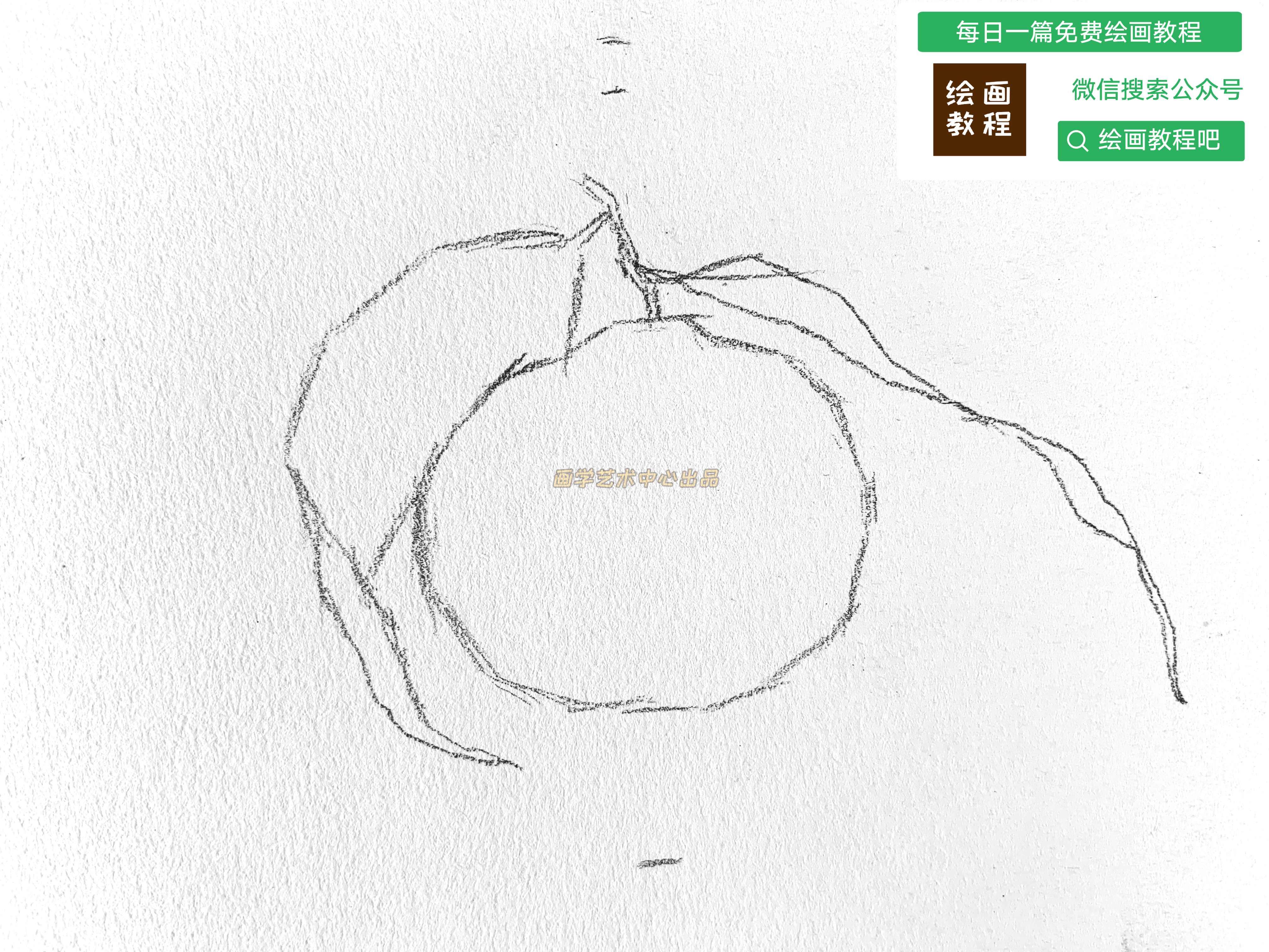 2分钟教你橘子画画教程学画画就上画学艺术