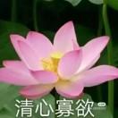 揽星河