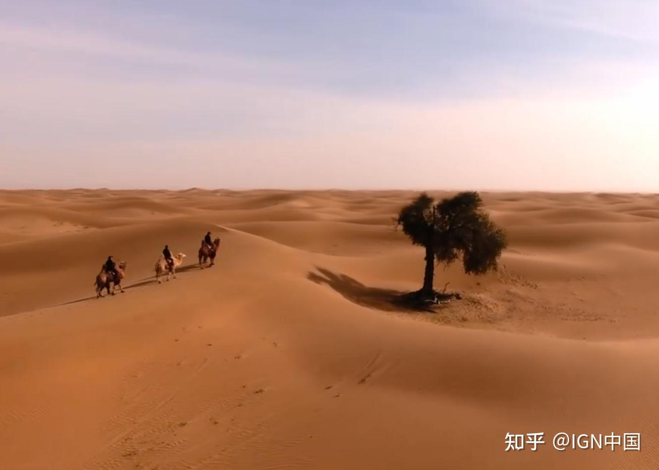 他是腾格里沙漠锁边生态公益项目基地的负责人,也是一个土生土长的
