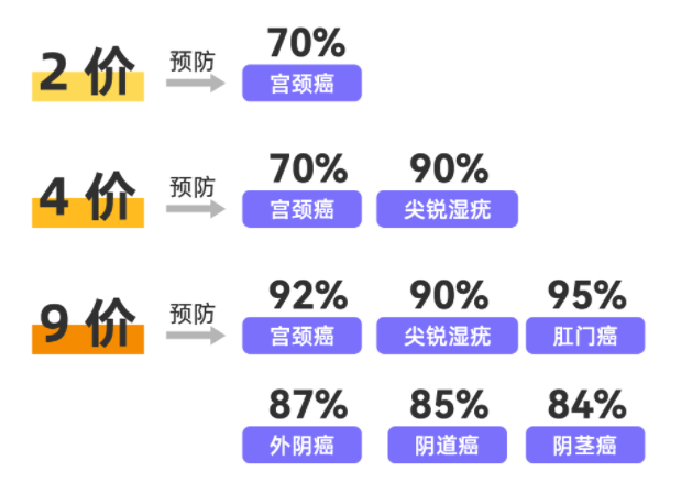 二价四价九价疫苗预防的型别(图解) - 知乎