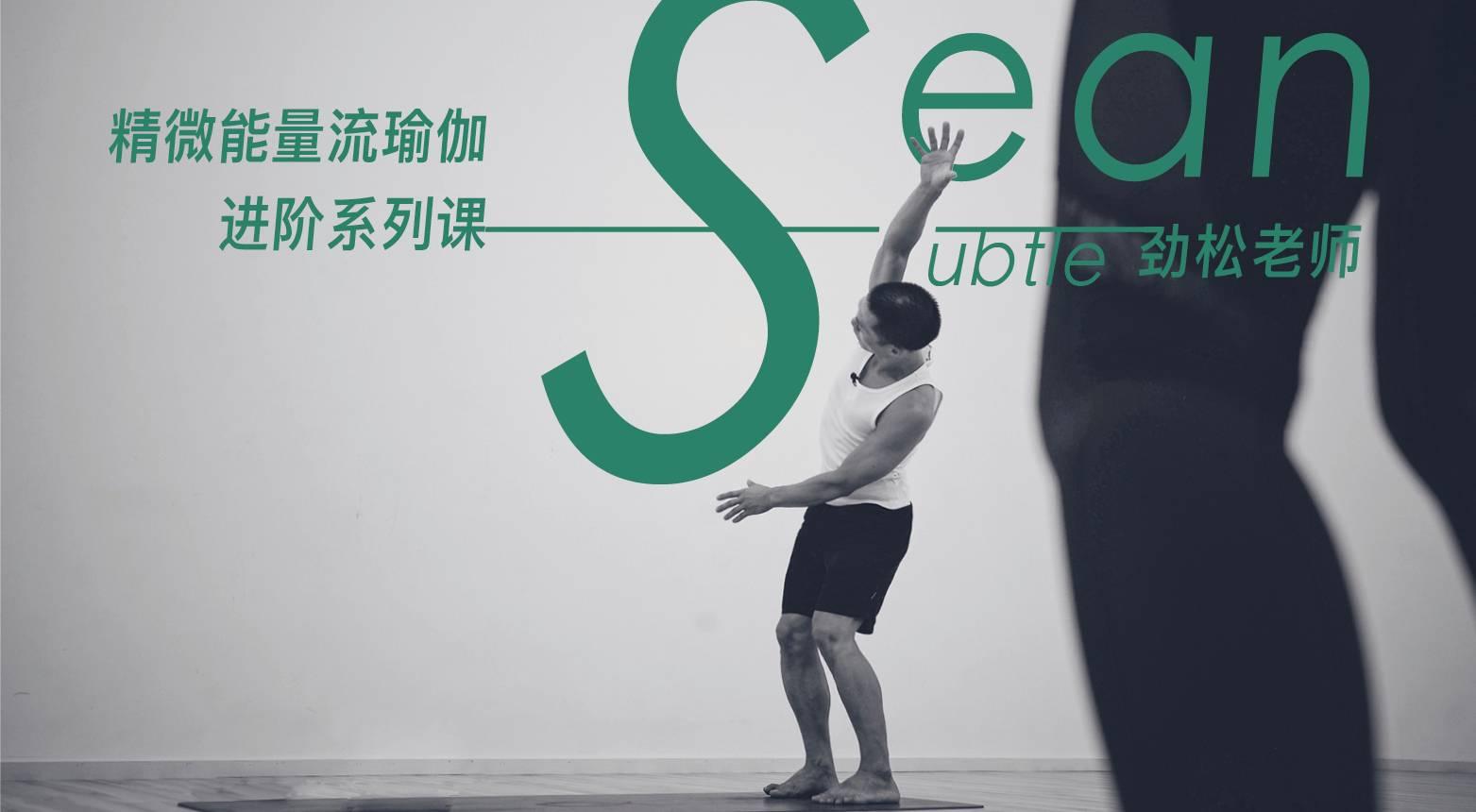 任劲松精微能量流瑜伽进阶系列课