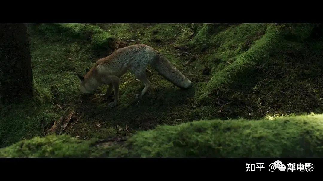 尺度拉到天花板,重口猎奇的电影《边境》 - 知乎