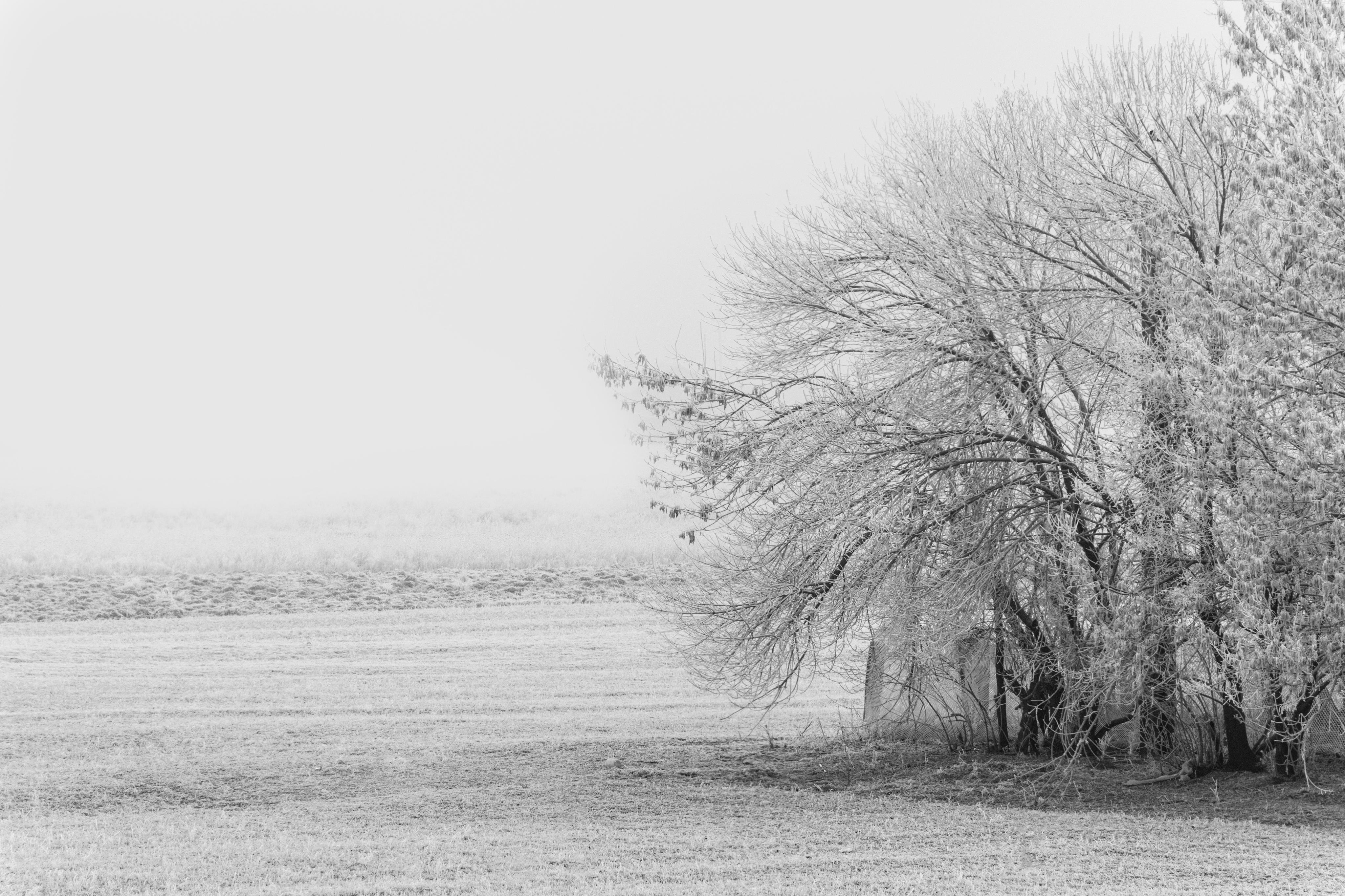有哪些冷色调背景图/壁纸? - 知乎