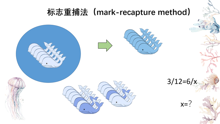 标记重捕法的优缺点