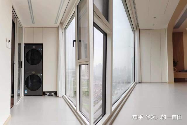 新家第一笔不后悔的投资!小天鹅跨代机皇小乌梅5.0深度体验