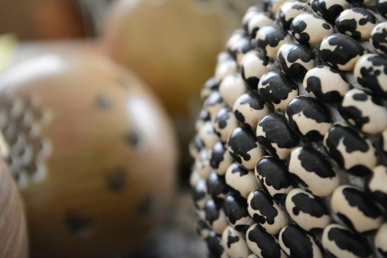 2. 促进花芽分化