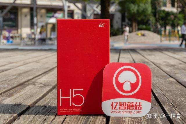 真无线蓝牙耳机亿格瑞h5会是百元级的惊喜吗