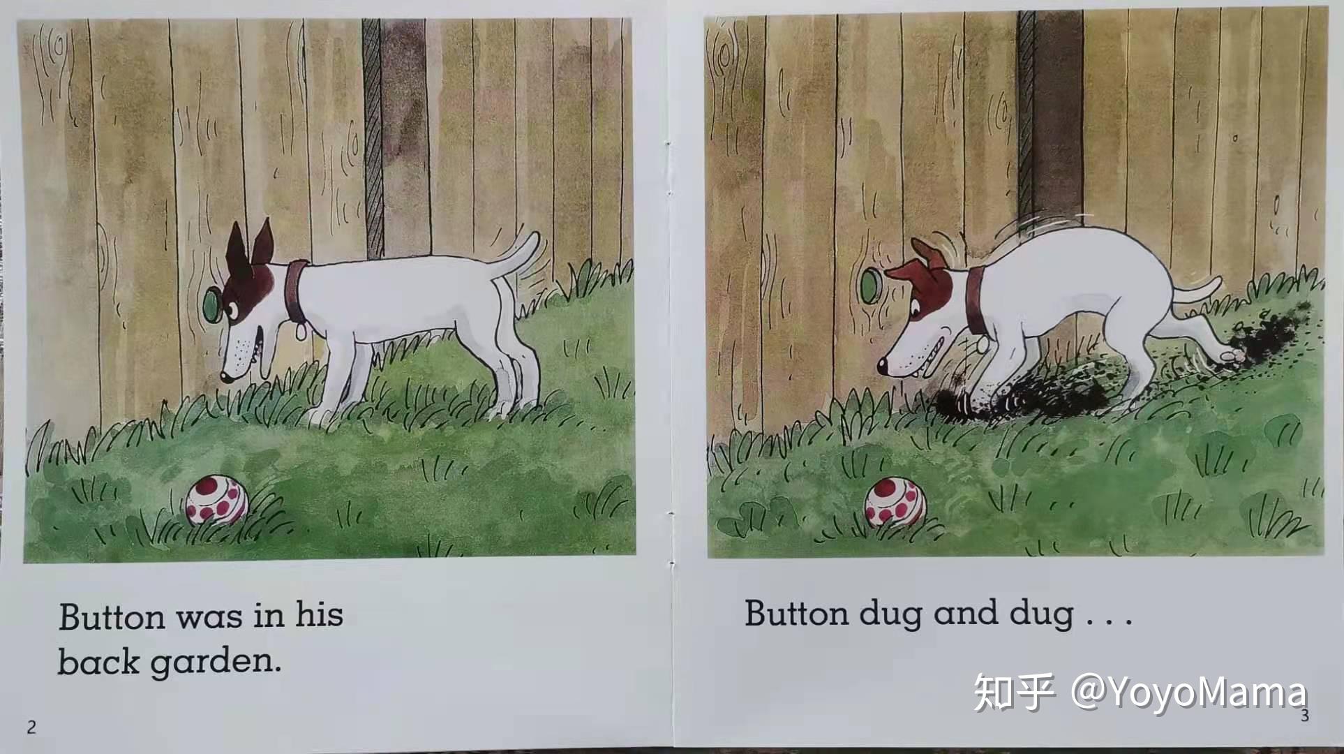 牛津树解析与拓展dd116stuck