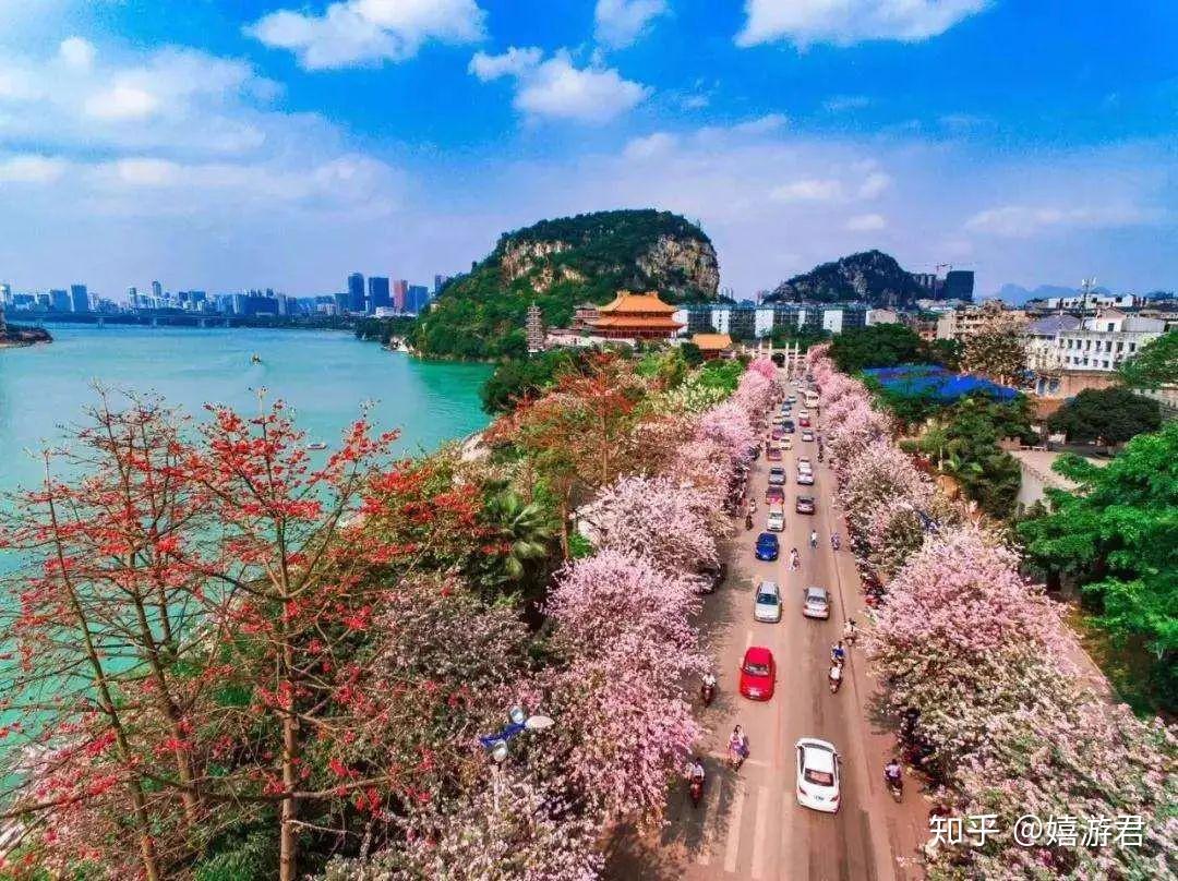 柳州的故事，不是一碗螺蛳粉就能说完的 - 知乎