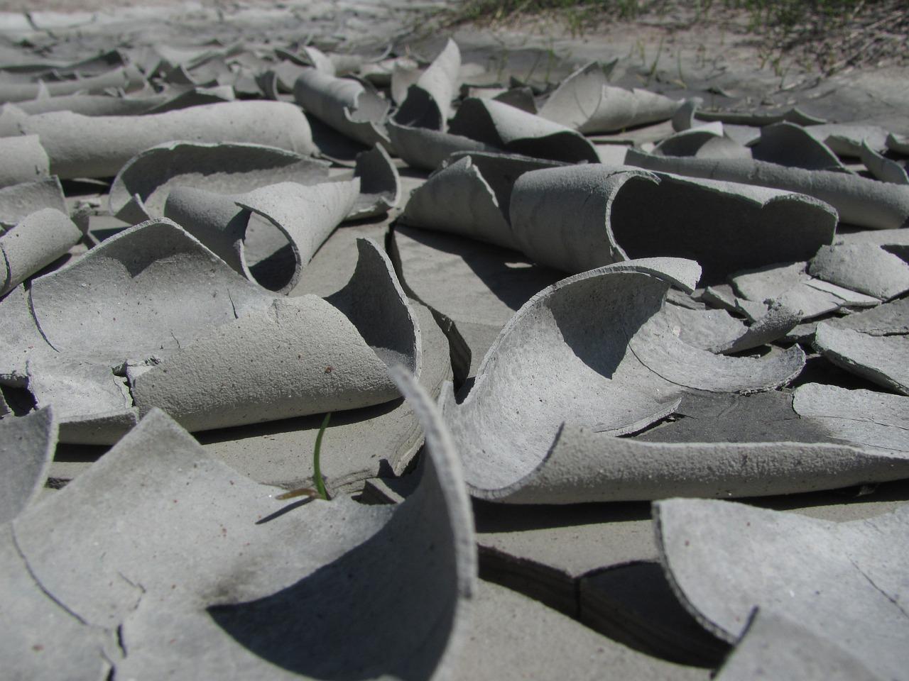 4. 风干花色保持