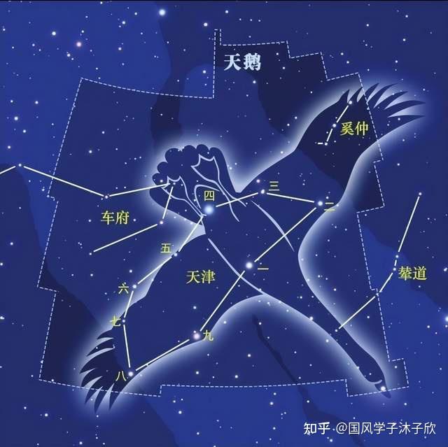 星宿女性格图片