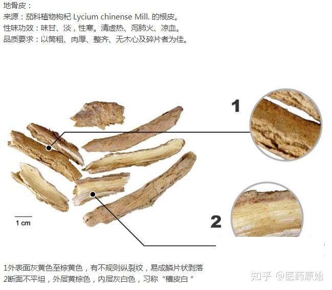 地骨皮与荃皮图文鉴别左:地骨皮  中:香加皮  右:荃皮从颜色上看