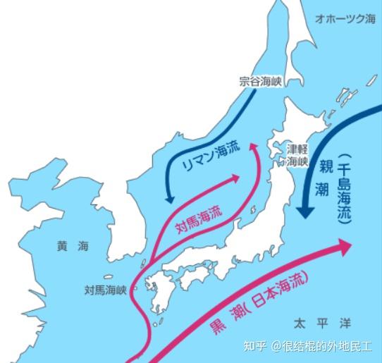 如何看待日媒称日本近海出现密密麻麻鱼类尸体原因尚不明确是核污水