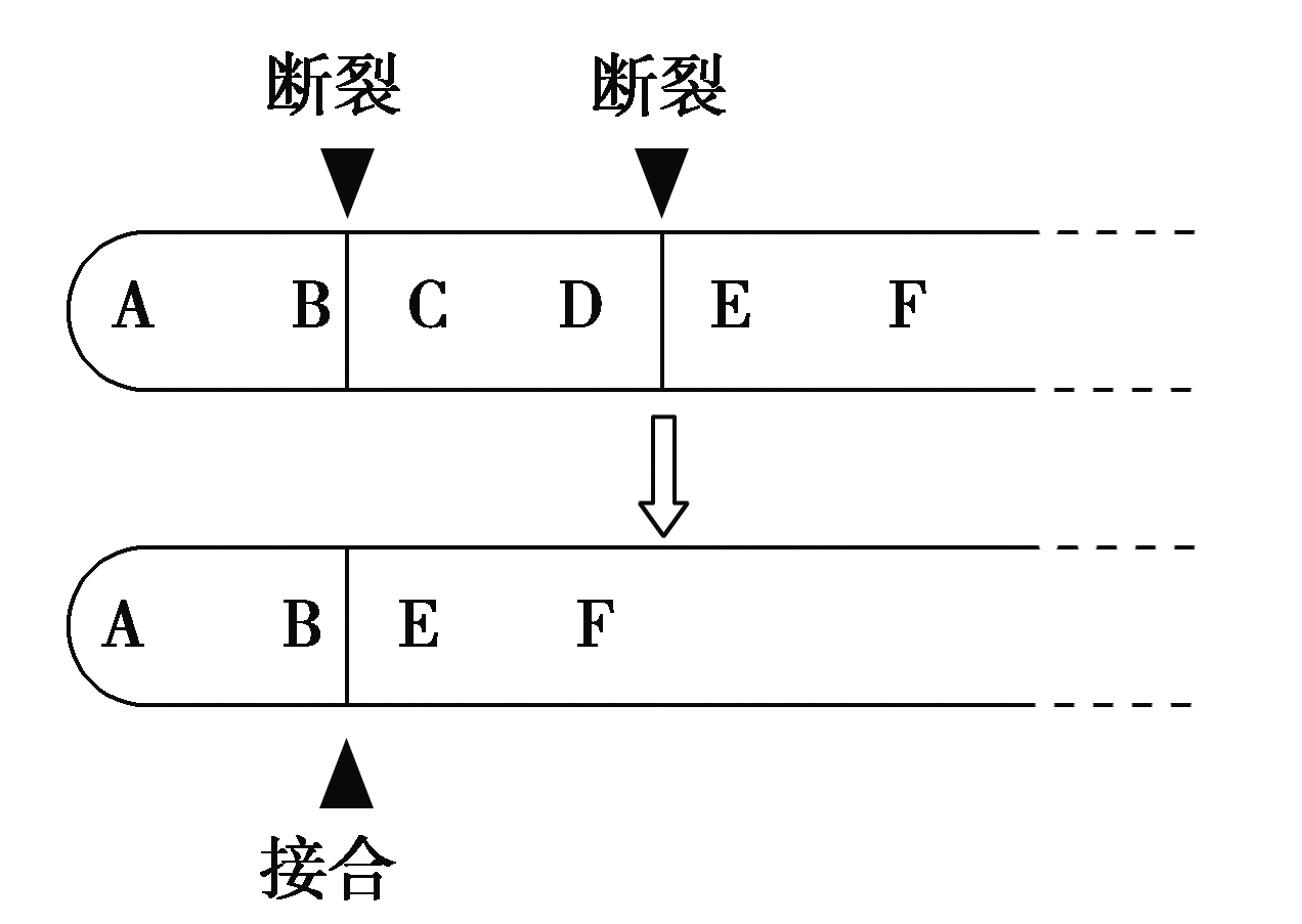 高考生物 - 知乎