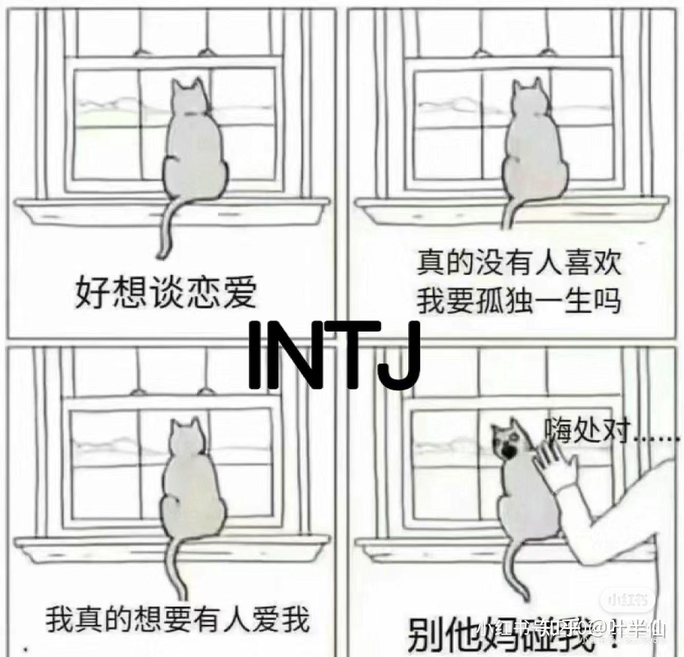INTJ梗图一览 - 知乎