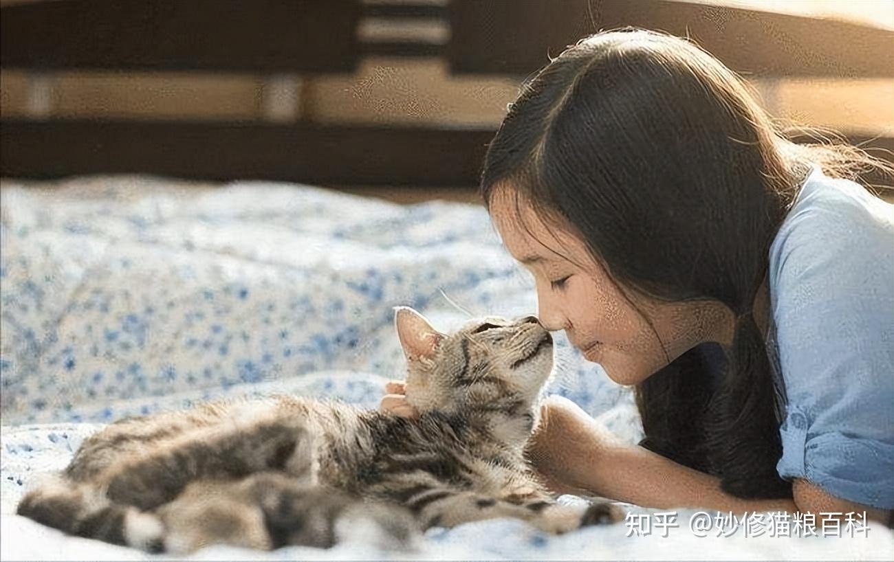 带猫亲吻拥抱照片的少年男孩 库存图片. 图片 包括有 系列, 毛皮, 女性, 宠物, 室外, 愉快, 查找 - 137750707