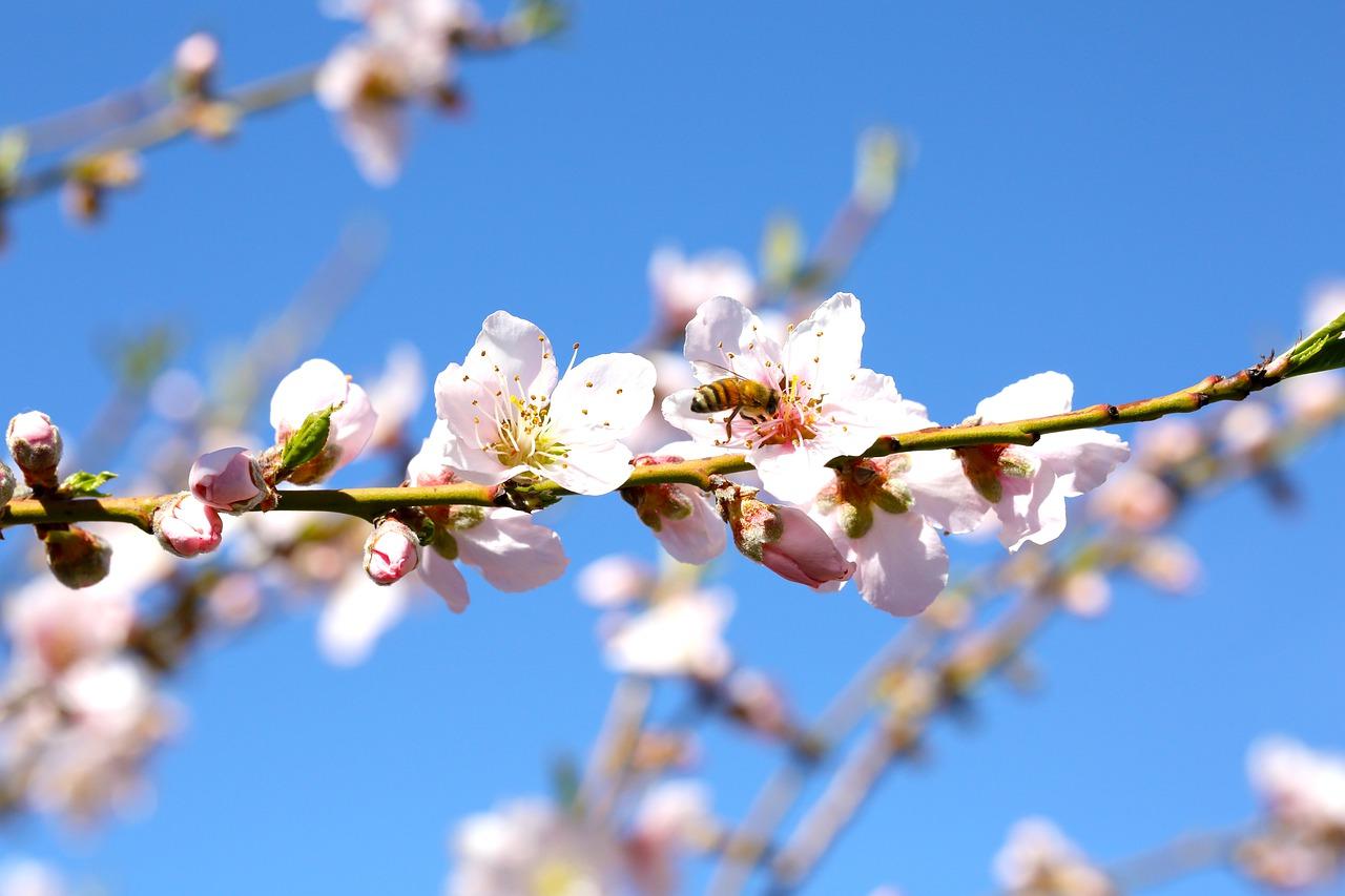 梅园小区区位优势