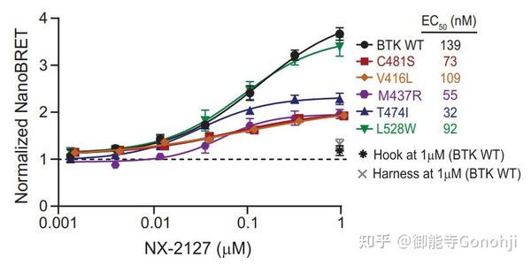 Nurix Therapeutics: BTK降解剂的生物学基础、生理功能及临床研究 - 知乎