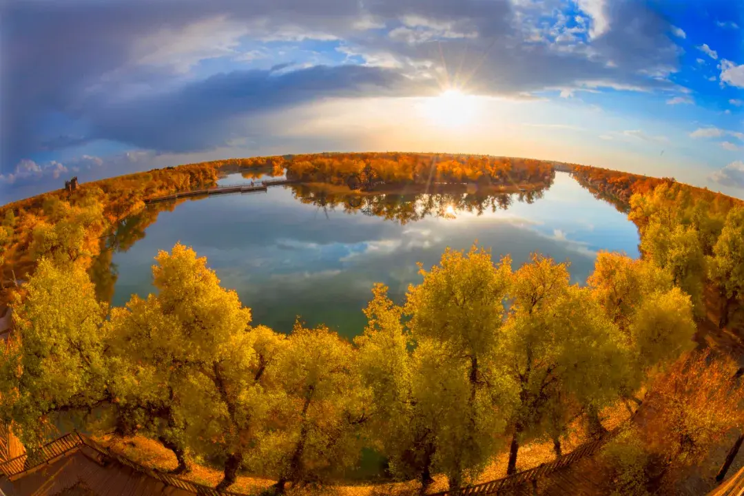 以夏玛勒胡杨林,下河胡杨林,金色胡杨岛为代表的316万亩原始胡杨林,是