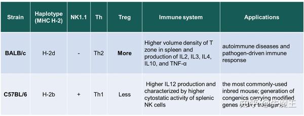 小鼠种类汇总（持续完善ing） - 知乎