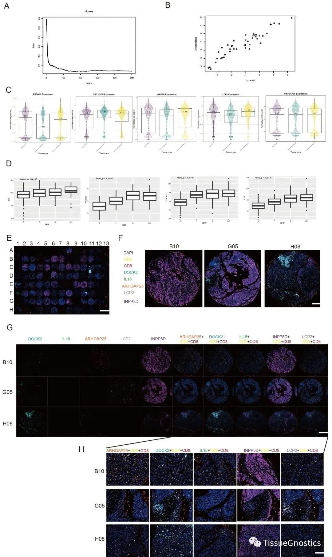 多重免疫荧光技术在肝细胞癌微环境中的应用 - 知乎