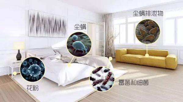 健康的居家环境,一台空气净化器就够了吗? - 知乎