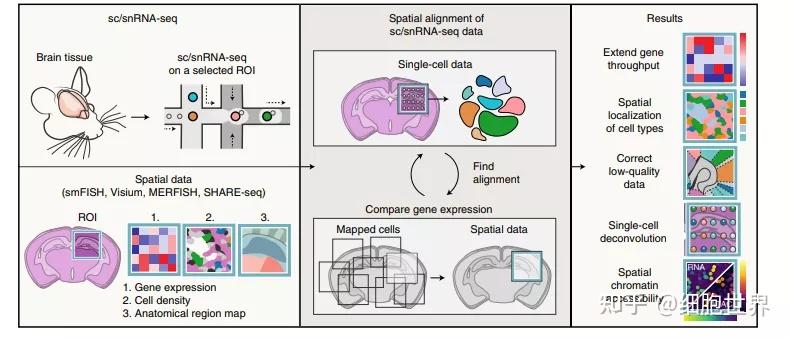 Nature Methods | 空间转录组学整合分析可能带来新革命 - 知乎