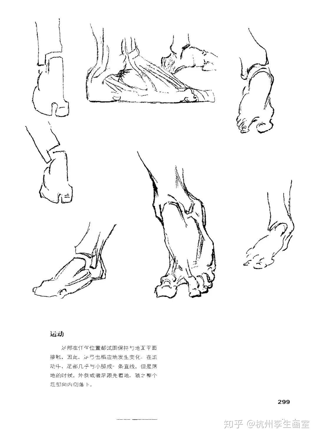 史上首次夏天校考速寫腳指頭怕不怕美院考不考