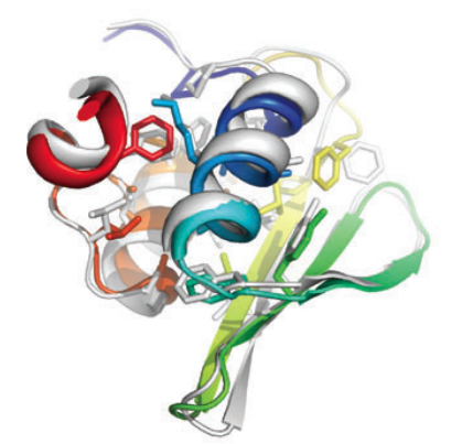 alphaFold2 II 蛋白质结构预测任务 - 知乎