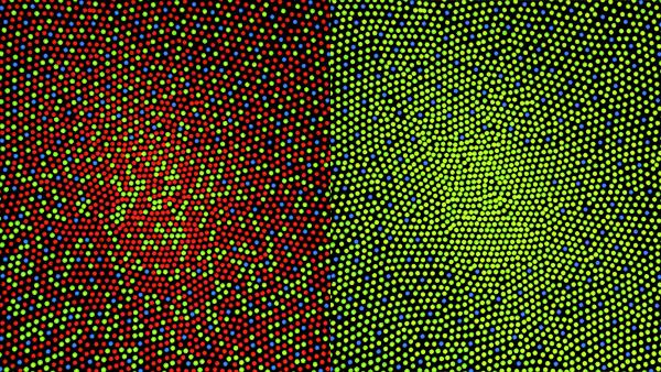 图a1–2:标准视觉(左)和红绿色盲(右)的视锥细胞在视网膜上的分布