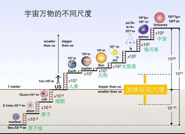 观测者在物理学中的角色